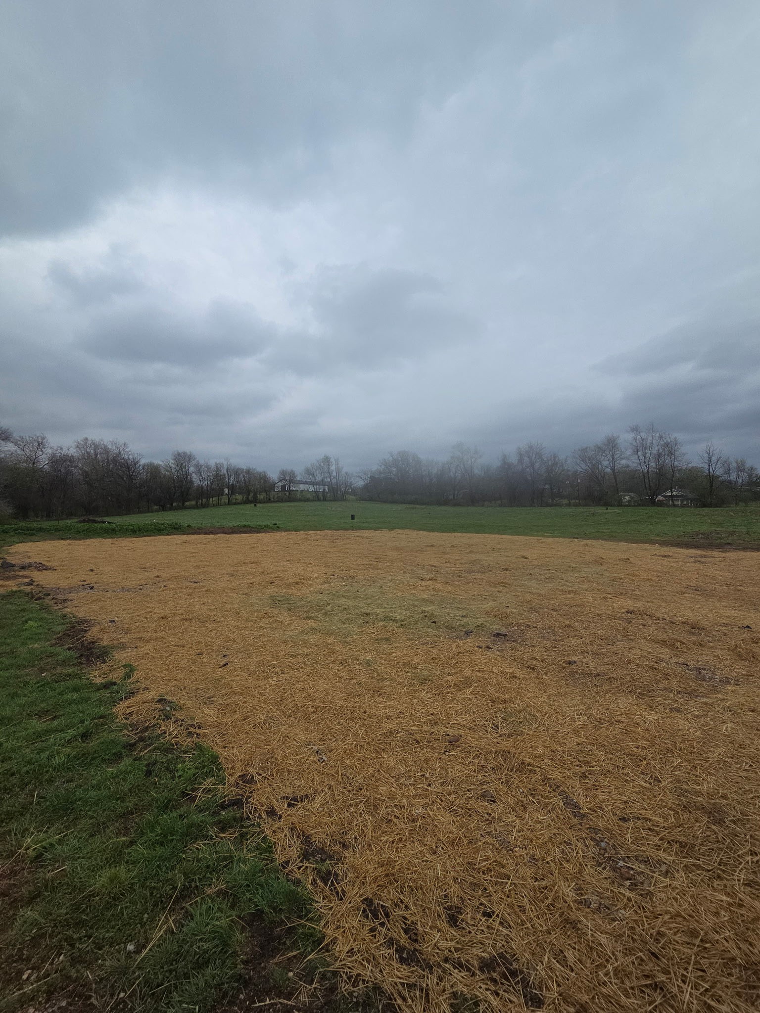 Different later perspective across the cleared ground.