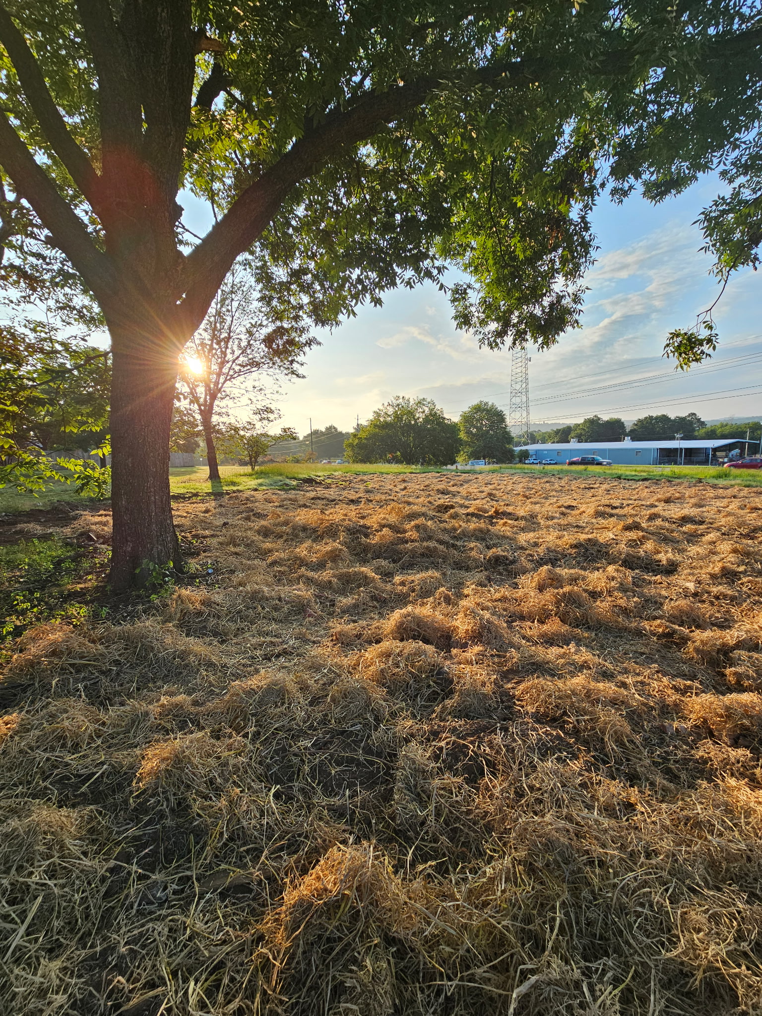 Alternate later view showing ground and retained tree line.