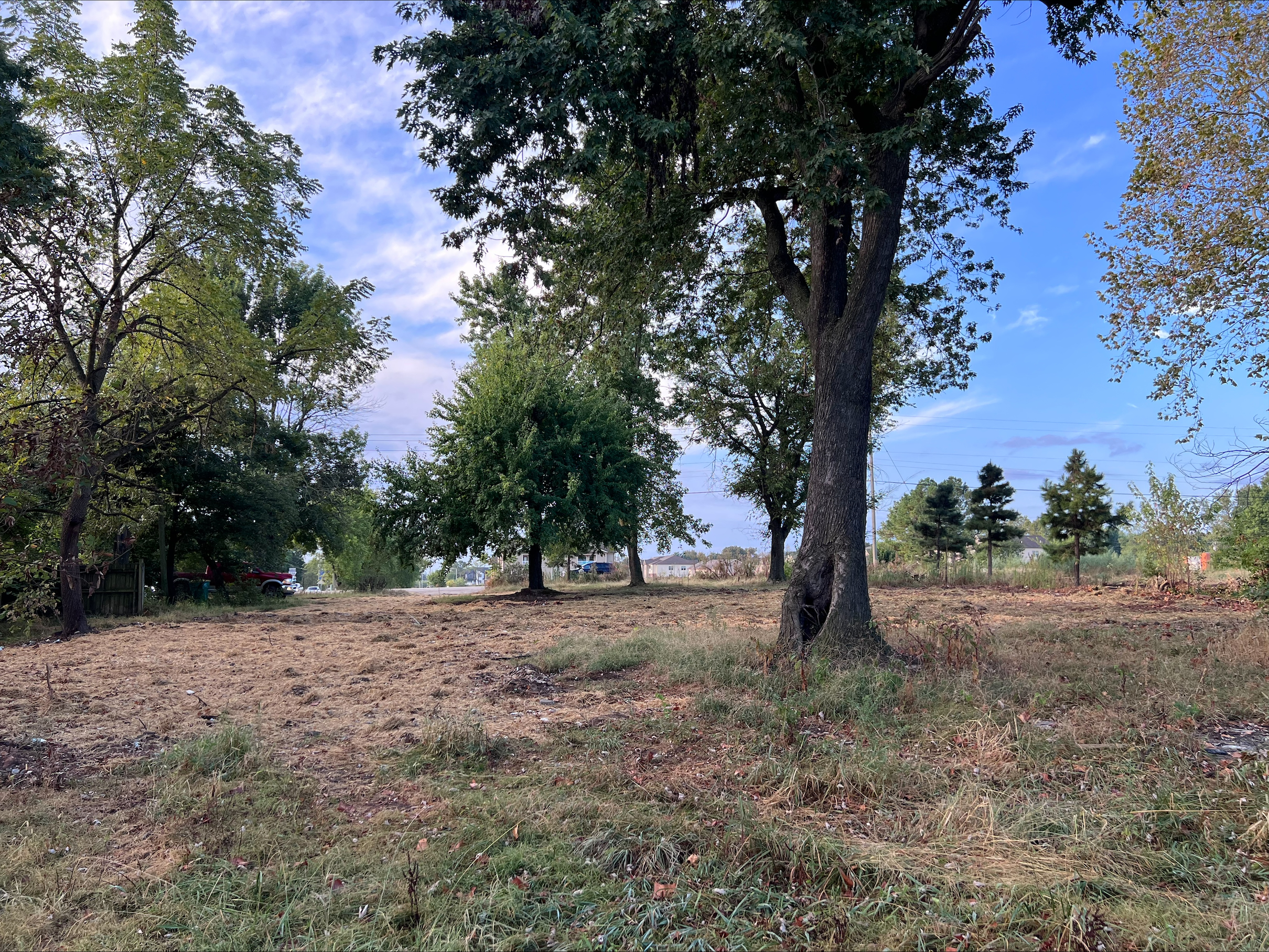 Second later view with retained trees and open ground.