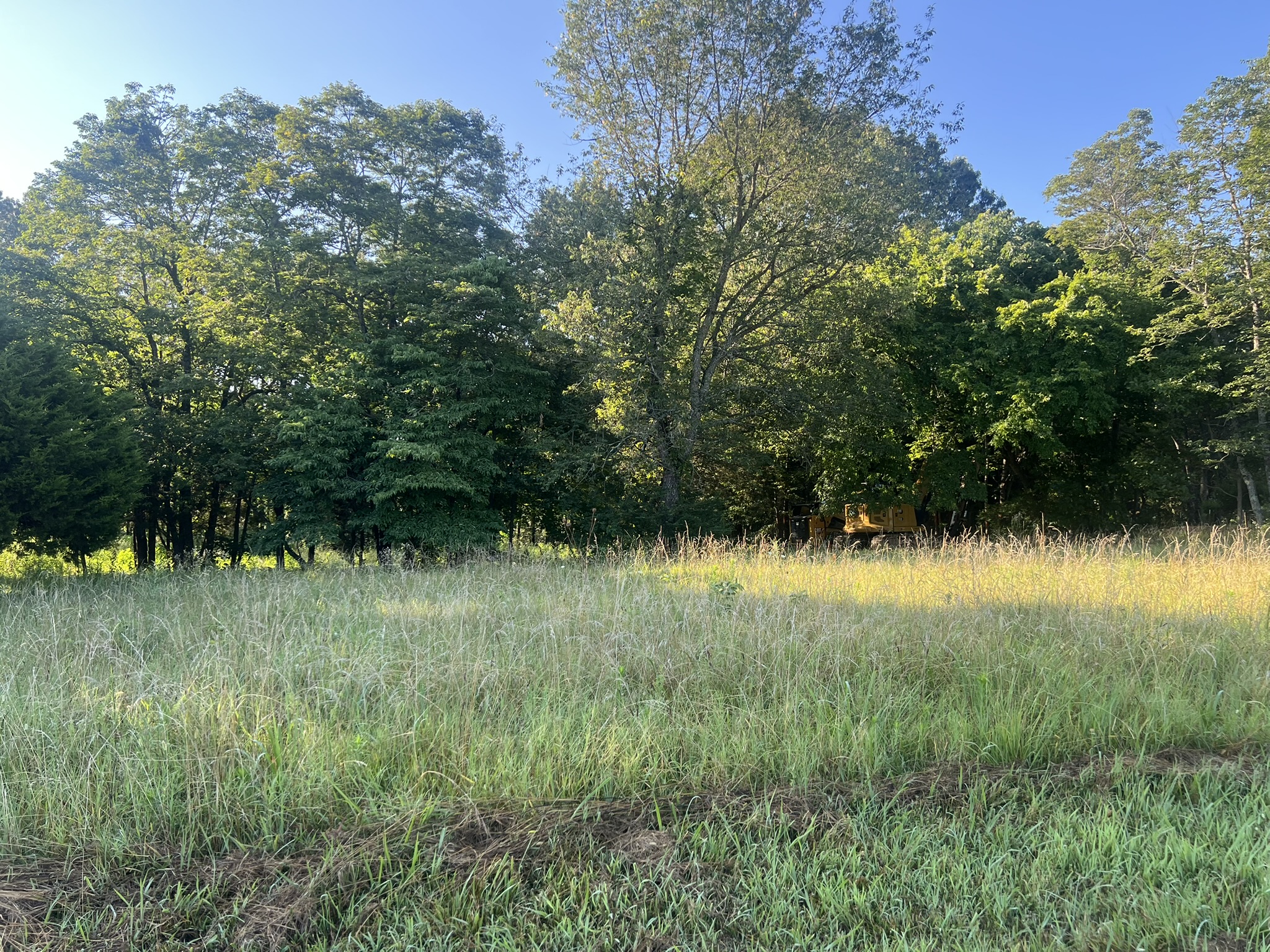 Wooded and overgrown starting ground at the Harrison residential site