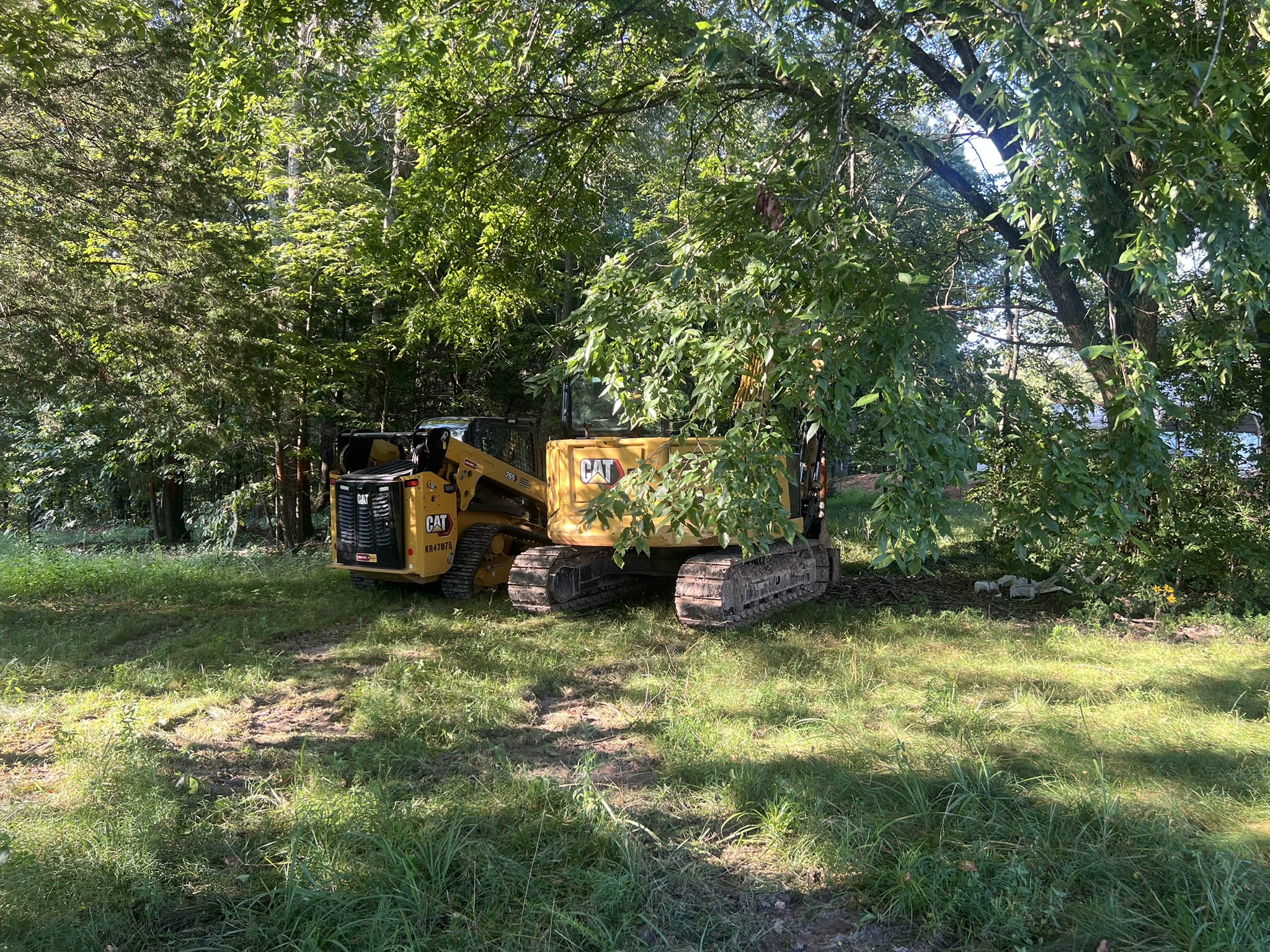 Equipment working at the wooded edge of the Harrison site